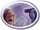 cinema 4D Seminare